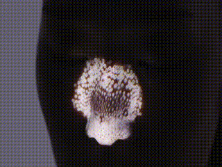 他将人脸变成镜子，映射出全世界的虚拟与真实