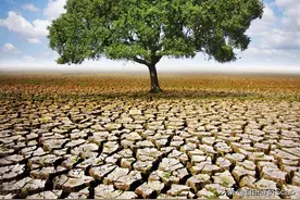 新手入门笔译行业必看干货图片