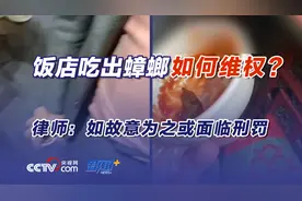 饭店吃出蟑螂如何维权？律师：如故意为之或面临刑罚图片