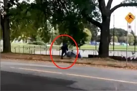 大温公园里有人拿着电锯追人！逃进陌生人车里才躲过一劫图片