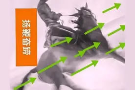 听说，限制法官与律师的私人交往图片