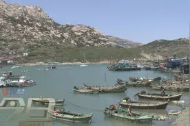 青岛的春天，是山珍与海味的季节图片