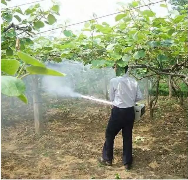 倒春寒预防及补救措施最全版！精华都在这里了