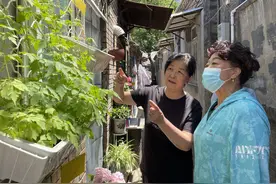 “小巷花园”见证平房区环境提质升级图片
