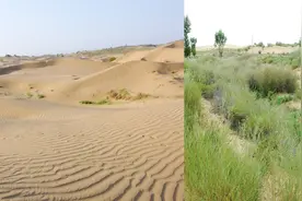 全世界的沙漠不断扩张，中国的却在变小，这个沙漠马上变绿洲！