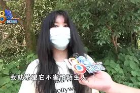 训犬学校里出意外，“乐乐汪”说态度积极图片