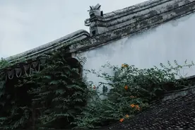 中国最美五大城区！上榜《中国国家地理》！快来看看你去过几个？图片