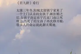 ［古言将军文］ 你是坚冷如铁的大将军也是我的少年郎图片