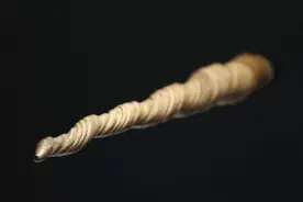 独角鲸的角有多贵？据说1根角就能换一座城堡？它到底有什么用？图片