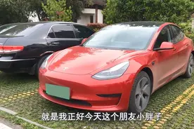 特斯拉频频刹车失灵，单踏板模式要背锅吗？喵哥现场试驾给你看图片