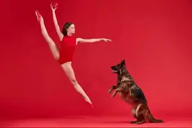 人犬共舞｜圣路易斯芭蕾舞团的专业摄影师与夫妻舞者团队图片