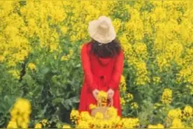 爱情是坟墓婚姻是围墙，而爱却胜过一切图片