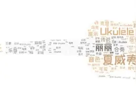 尤克里里小课堂 | 初识Ukulele图片