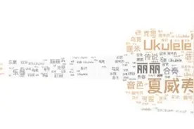 尤克里里小课堂 | 初识Ukulele图片