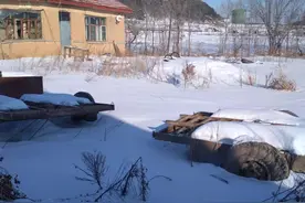 一个孤寡老人的真实生活图片