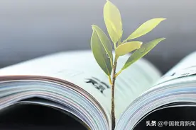 中学语文要重视培养词典阅读能力图片