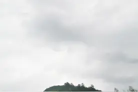 一夜雷雨声图片