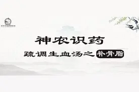 《神农识药》疏调生血汤之补骨脂图片