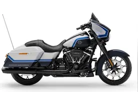 哈雷发布大道滑翔“极地风暴版”，全球限量500台图片