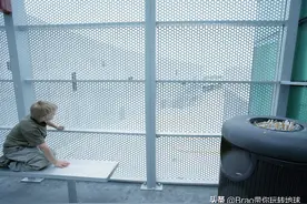 只知道二手烟，却不知道三手烟？香烟熄灭后依旧释放有害物质？图片