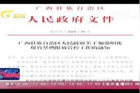 中央环保督查“回头看”：广西自治区发布烟花爆竹燃放禁令视频封面