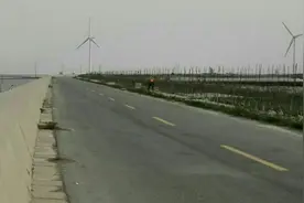 到东营的海边走两步，滩涂海景别有风味图片