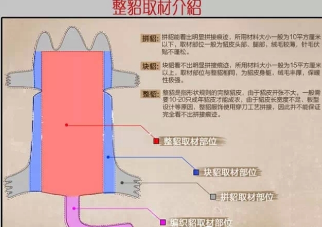 5000元的貂皮和120000元的貂皮差别在哪里？
