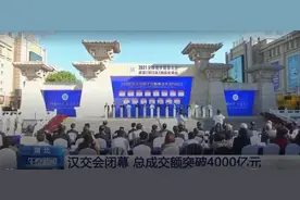 黄陂区新增市场主体14393户，项目213个，计划投资近千亿图片