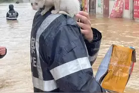 我想，我会爱上你图片
