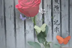铿锵玫瑰，遇见最美的你图片