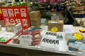 社区团购是腾讯大赛马，寡头合围买菜：战无不胜的“流量+资本”图片