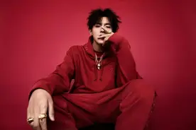 吴亦凡被刑拘，这是侥幸还是放纵的结果？图片