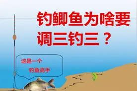 钓鲫鱼为啥要用调三钓三？能理解这两个优势，你一定是钓鱼高手图片