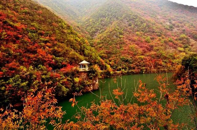 重阳登高,十堰这些赏秋名山不容错过