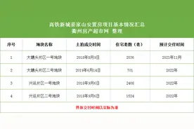 听说西区这个超大楼盘要开始交房了图片