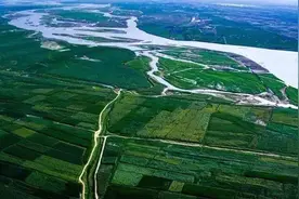 宁夏村民水边种地，意外发现湖怪，专家推测：可能是未灭绝的恐龙图片