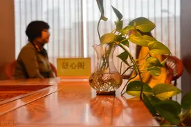 倾听你的心声 | 11月25日“粤心安”“舒心驿站”心理咨询公益服务现正接受预约！图片