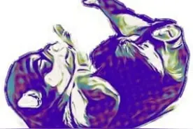 「宠物科普」了解宠物幼犬的发育各阶段图片