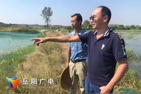 岳阳市澳洲淡水龙虾养殖实验成效显著图片