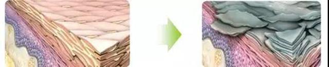 让你置身大自然的植物氨基酸沐浴露，温和不刺激，敏感肌也可以用