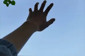 一个堕落高中生的自我叙述图片