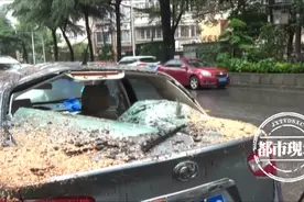 南昌：风雨刮倒行道树，男子爱车遭了殃，赔偿该找谁？图片