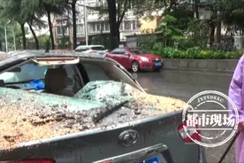 南昌：风雨刮倒行道树，男子爱车遭了殃，赔偿该找谁？图片