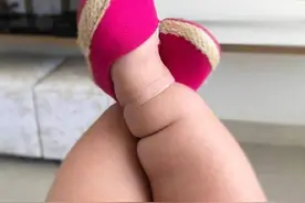 “小短腿”的惬意时光图片