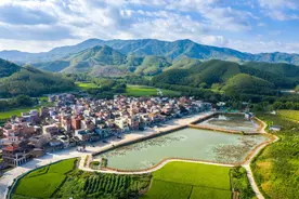 【乡村振兴】佛山高明吉田村：废旧老屋去，良田美景来！图片