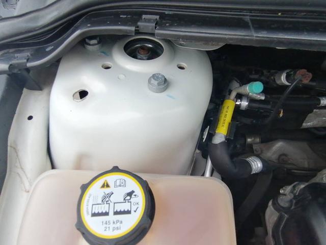 期待已久的经典福克斯两厢版，胖哥已顺利拿下，1.8排量手动挡