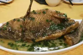 广西梧州“第一”粤菜，满满的梧州情怀，一份葱油鱼却褒贬不一图片