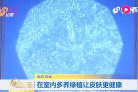 室内绿植不仅美化环境，竟然还能护肤养颜，英国科学家研究新发现视频封面