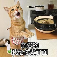 ǿѵѧվʹƼѧ׬