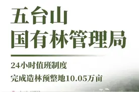 8张海报，看山西各地林局防火造林两手抓图片